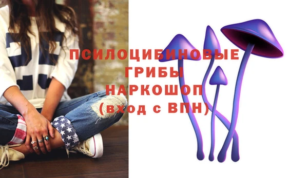 бошки Алексин