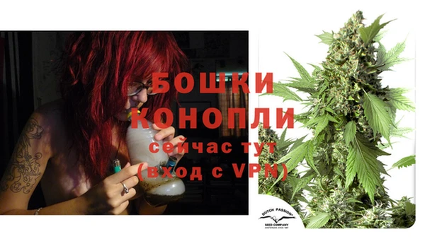 spice Алексеевка