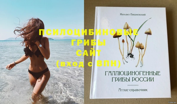 spice Алексеевка