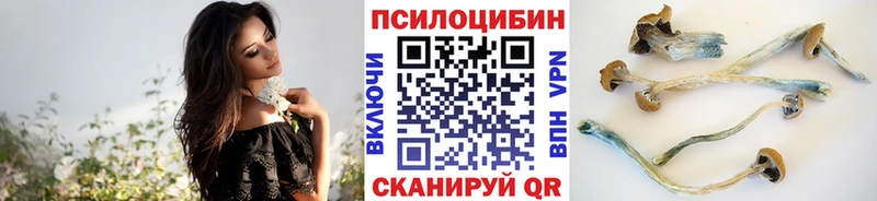 Псилоцибиновые грибы GOLDEN TEACHER  закладки  маркетплейс состав  Алзамай 