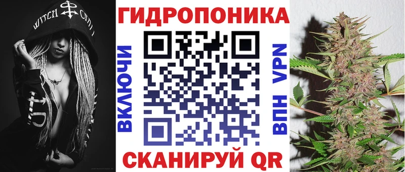 Конопля гибрид МЕГА ONION Алзамай